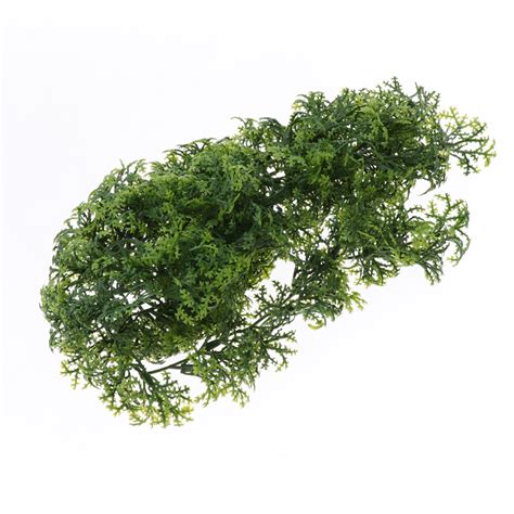 Buy Chlorophytum Ivy Vines for Reptiles and Amphibians Habitat Plant ...