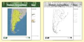 Póster: fauna de Argentina - Twinkl