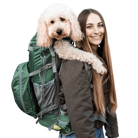 Are Dog Carrier Backpacks Safe