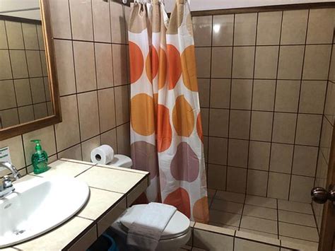 MONTEVERDE ECOLODGE - Lodge Reviews, Photos, Rate Comparison - Tripadvisor