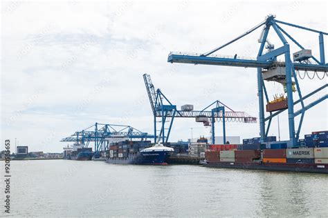 Image result for Rotterdam Container Terminal