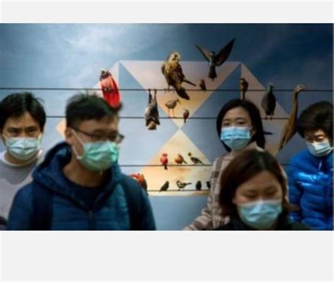 அறிகுறியற்ற கரோனா தொற்றைப் பரிசோதிக்கும் கருவிகளை உருவாக்கும் ஸ்டார்ட் ...