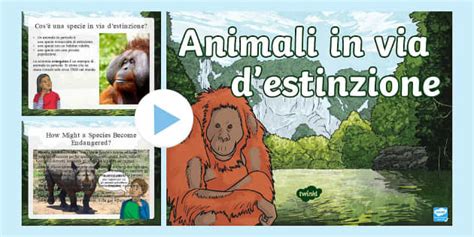 PowerPoint: Animali in via di estinzione (teacher made)
