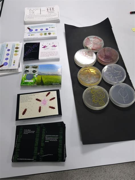 2018 Science Day at NCBS – AdaptationLab