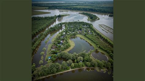 Image result for pusing