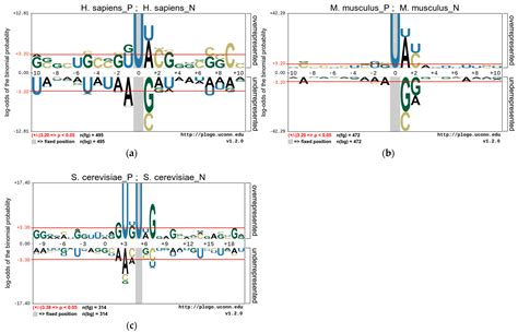 PseUpred-ELPSO Is an Ensemble Learning Predictor with Particle Swarm ...