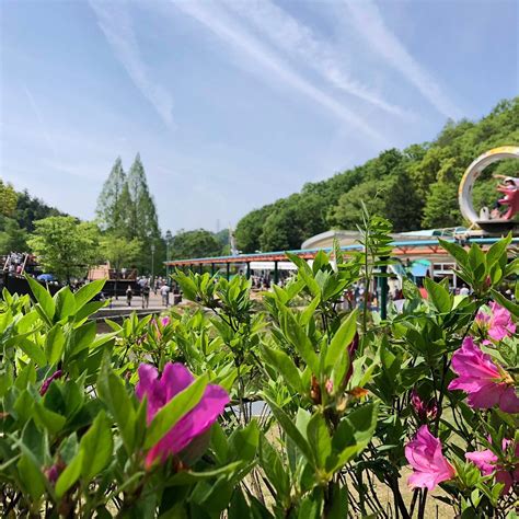 GIFU FAMILY PARK (2026) All You Need to Know BEFORE You Go (with Photos ...
