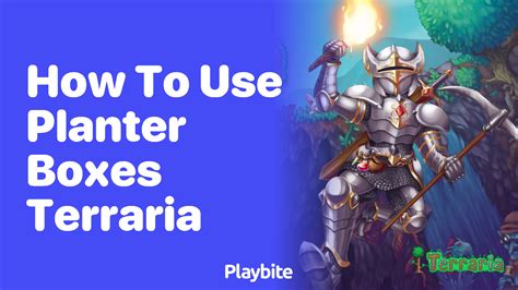 How to Use Planter Boxes in Terraria - Playbite