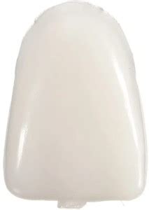 EndoKing Preformed Temporary Crowns - Posterior Dental Elevator Price ...