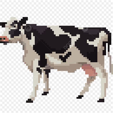 Image result for How to Run Code in Python