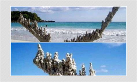 These Sand Castles Are Made By An Artist, Not Natural Formations | BOOM