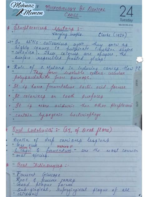 Microbiology of Dental Caries – Dentowesome