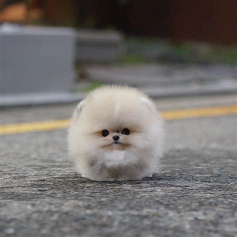 Bnha parent scenarios – Artofit