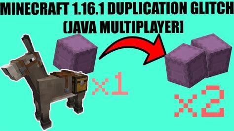 Image result for MC Java Dupe