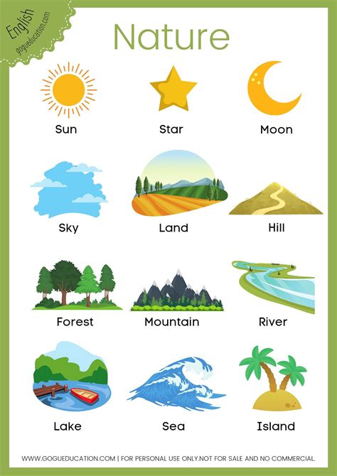 Nature words useful nature vocabulary in english – Artofit