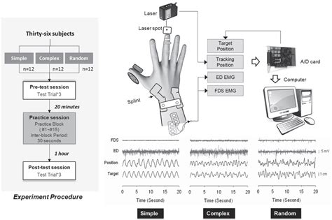 Science Experiment Procedure 的图像结果