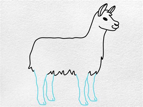 Llama 的图像结果