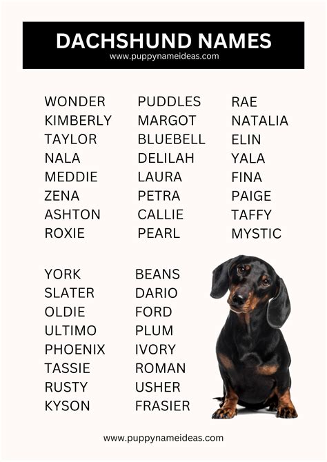 Weiner Dog Names