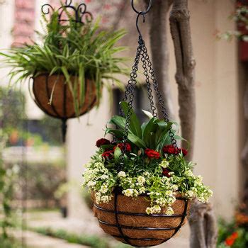 Hanging Baskets