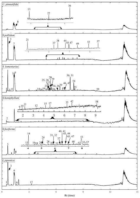 Investigation of the Potential Phlorotannins and Mechanism of Six Brown ...