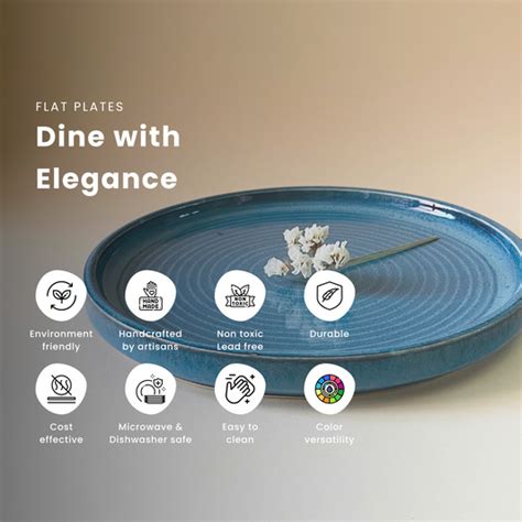 Enjoy a classical dining experience in our ceramic flat plates ...