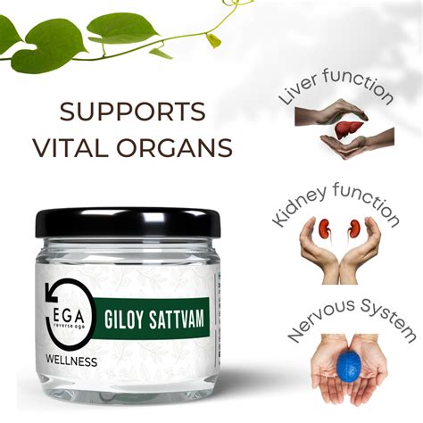 Digestive Choornam | Relieves Indigestion and Gas | 100 gm. – EGA Wellness