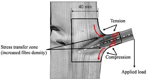 A Review of Natural Joint Systems and Numerical Investigation of Bio ...