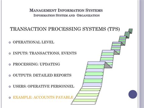 Management Information System Support 的图像结果