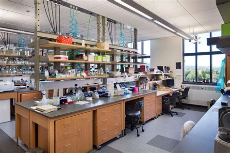 Biotechnology Design 的图像结果