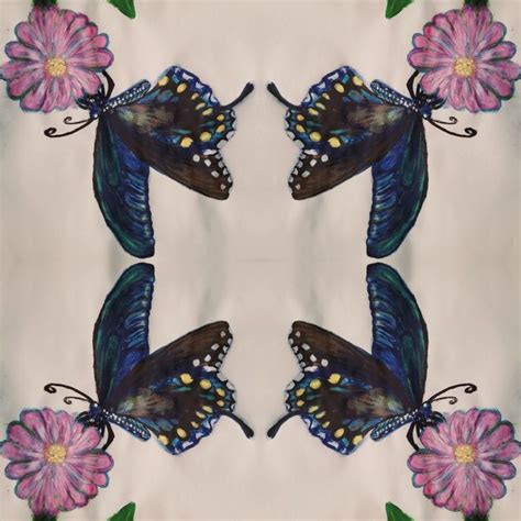 Image result for Butterfly Drawing Tutorial