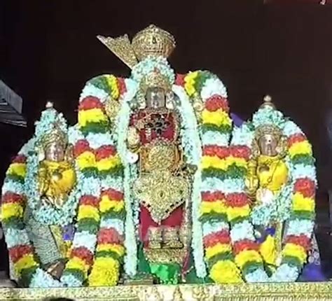 Melukote Temple: ಮೇಲುಕೋಟೆಯಲ್ಲಿ ಐತಿಹಾಸಿಕ ಮಹೋತ್ಸವ, ಚೆಲುವನಾರಾಯಣಸ್ವಾಮಿಯನ್ನು ...