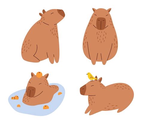 Vektor-Set lustiger Capybaras im flachen Design. Amüsante Capybaras ...