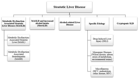 Exploring Varied Treatment Strategies for Metabolic Dysfunction ...