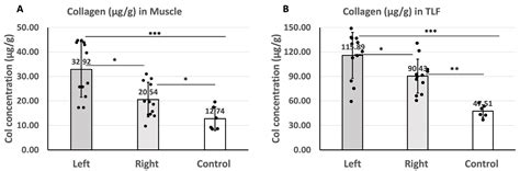 The Impact of Sciatic Nerve Injury on Extracellular Matrix of Lower ...