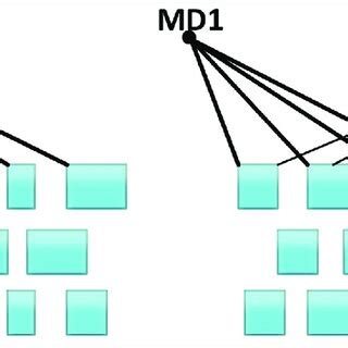 Data Duplication Problem 的图像结果