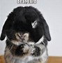 Image result for Scary Bunny Meme