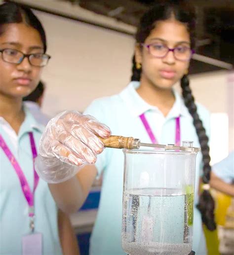 Academics | Bloomingdale International School