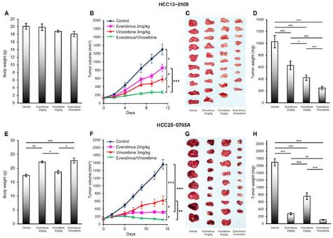 Everolimus Acts in Synergy with Vinorelbine to Suppress the Growth of ...