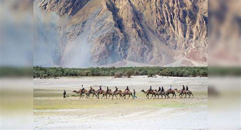 Exploring Hundar—the desert wonder of Leh | Times of India Travel