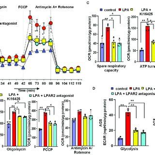 Image result for What Is LPAR