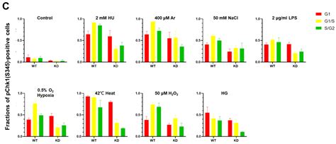 Claspin-Dependent and -Independent Chk1 Activation by a Panel of ...