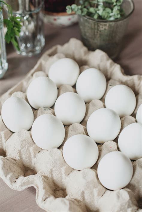 Egg Benefits: Top 5 Health Benefits Of Adding ‘Superfood’ Eggs To Your ...