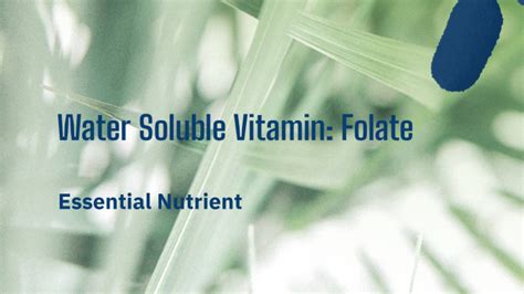 Image result for Folate Water-Soluble