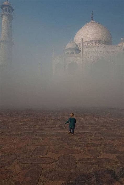 Supreme Court concerned over depleting tree cover, rising pollution ...