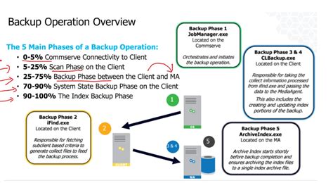 Image result for CommVault Backup Process