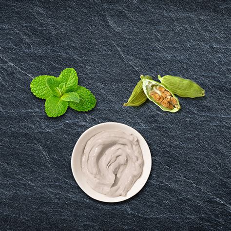 Bentodent Toothpaste - Premium Mint & Cardamom Pack - 100 gm each ...