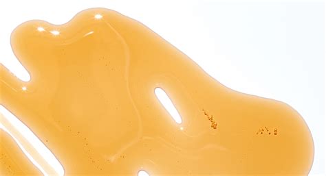 Molasses vs. Maple Syrup | Thrive Market