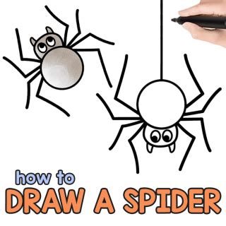 Image result for Spider Tutorial