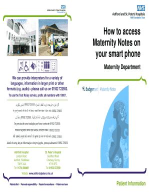 Fillable Online How to Access Maternity Notes on your Smart ... - St ...
