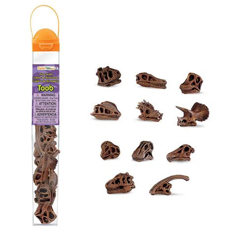 Buy Safari Ltd Dinosaur Skulls Online at Low Prices in India - Amazon.in